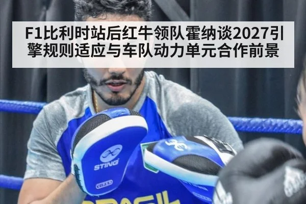F1比利时站后红牛领队霍纳谈2027引擎规则适应与车队动力单元合作前景